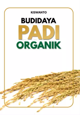 Budidaya Padi Organik