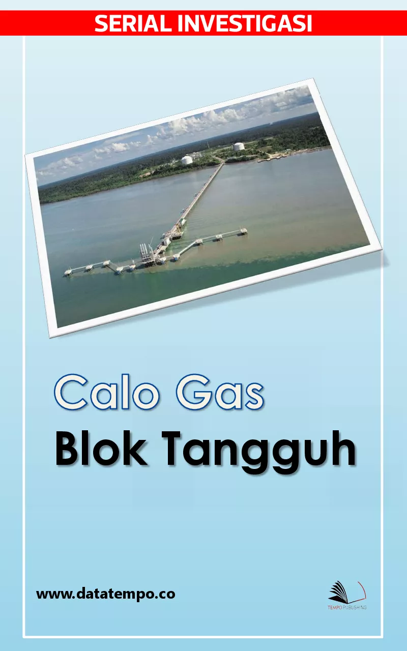 Investigasi - Calo Gas Blok Tangguh