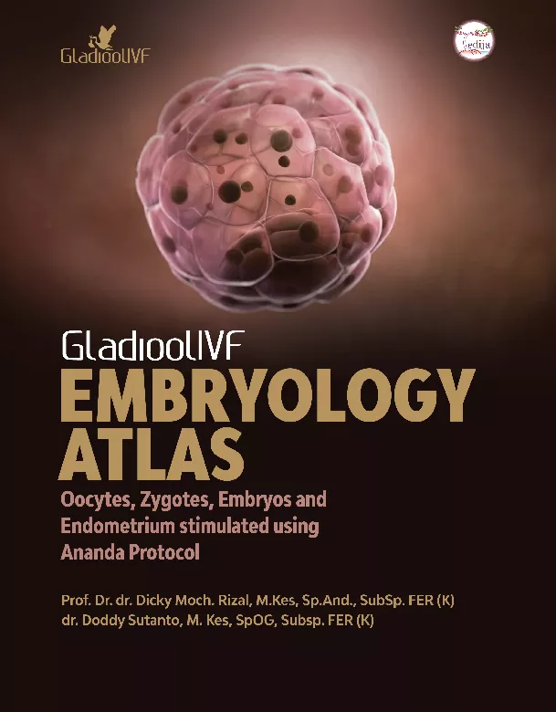 Embryology Atlas: Oocytes, Zygotes, Embryos, and Endometrium Stimulated Using Ananda Protocol