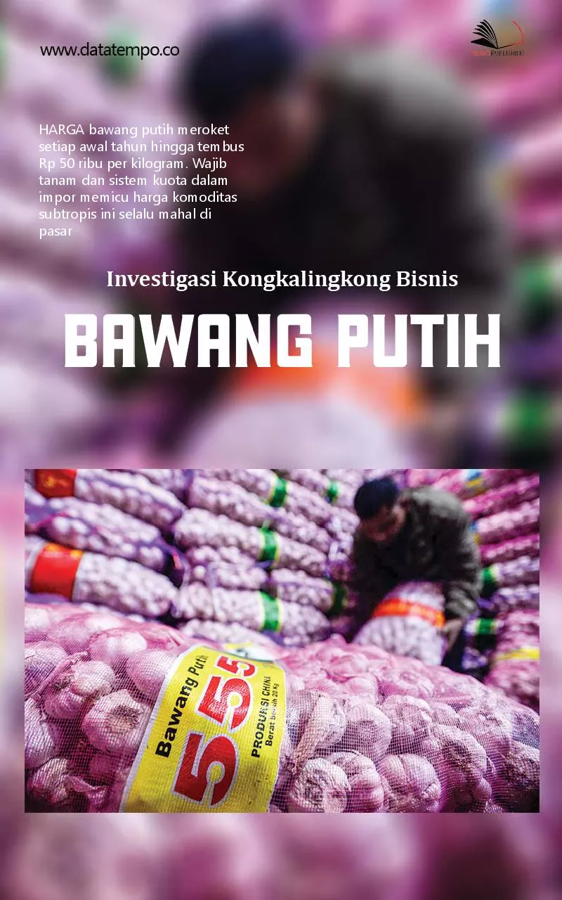 Investigasi kongkalingkong bisnis bawang putih