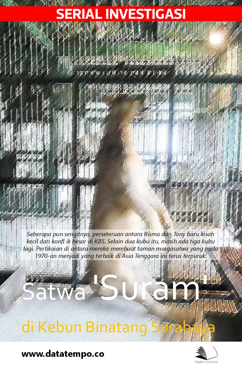 Serial Investigasi - satwa ''suram'' di Kebun Binatang Surabaya