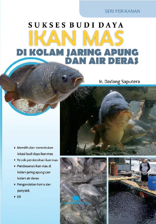 Sukses budi daya ikan mas di kolam jaring apung dan air deras