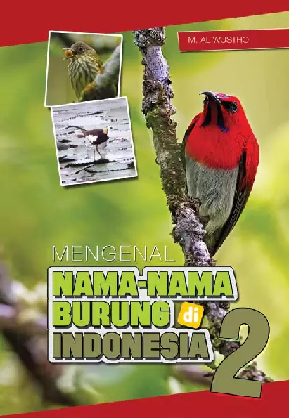 Mengenal nama-nama burung di indonesia 2