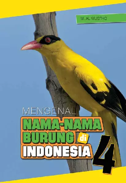 Mengenal nama-nama burung di indonesia 4