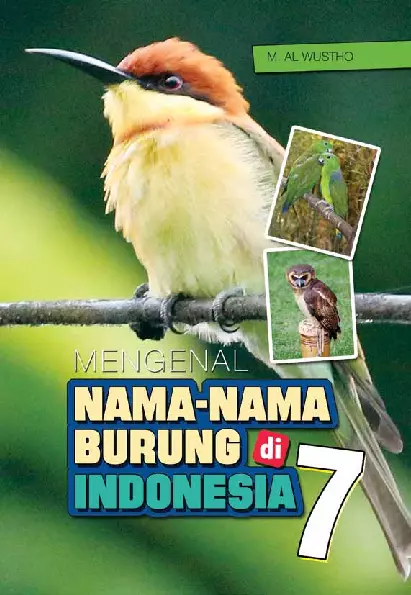 Mengenal nama-nama burung di indonesia 7