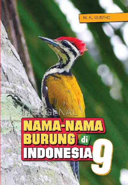 Mengenal nama-nama burung di indonesia 9