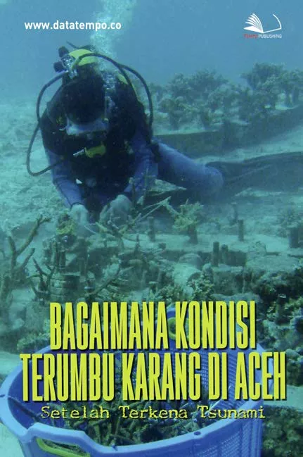 Bagaimana kondisi terumbu karang di Aceh setelah terkena tsunami