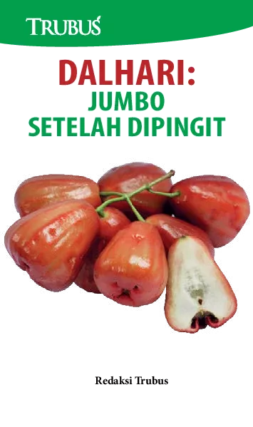 Dalhari: Jumbo Setelah Dipingit