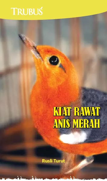 Kiat Rawat Anis Merah