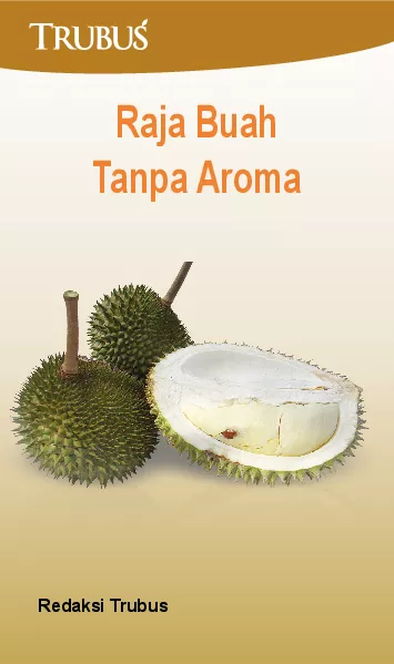 Raja Buah Tanpa Aroma