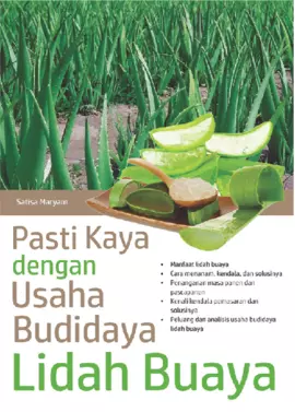 Pasti Kaya dengan Usaha Budidaya Lidah Buaya 