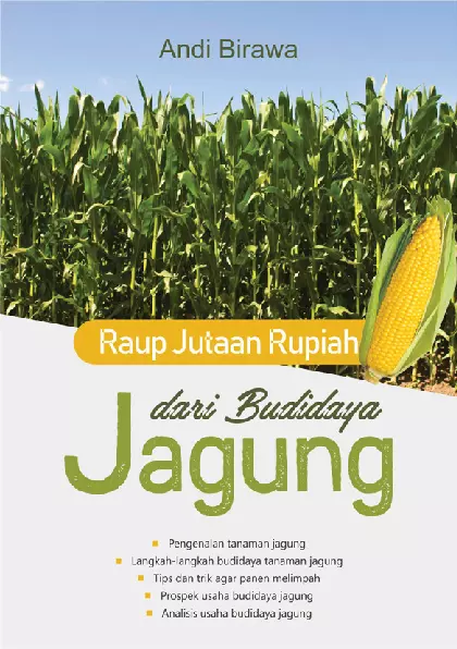 Raup Jutaan Rupiah Dari Budidaya Jagung 